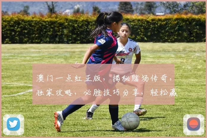 澳门一点红正版，揭秘赌场传奇，独家攻略，必胜技巧分享，轻松赢钱