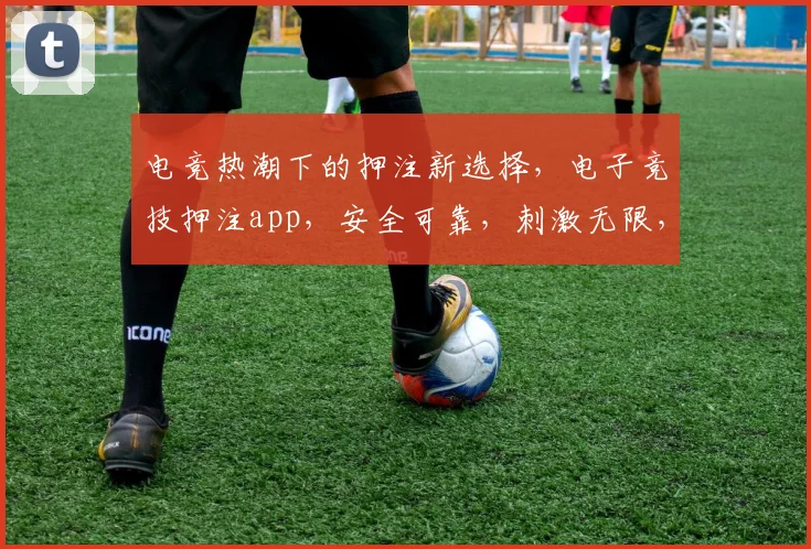 电竞热潮下的押注新选择，电子竞技押注app，安全可靠，刺激无限，体验非凡