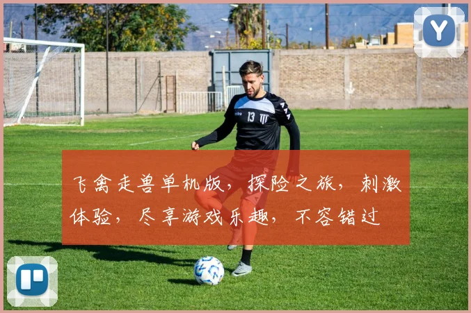 飞禽走兽单机版，探险之旅，刺激体验，尽享游戏乐趣，不容错过