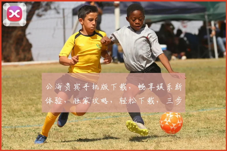 公海贵宾手机版下载，畅享娱乐新体验，独家攻略，轻松下载，三步到位，快来体验