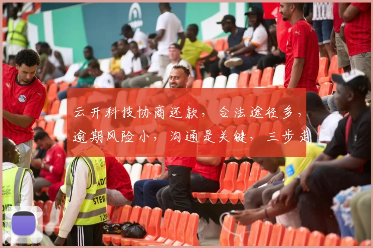 云开科技协商还款，合法途径多，逾期风险小，沟通是关键，三步走轻松解决。