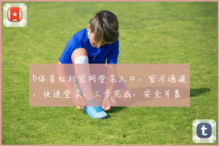 b体育红标官网登录入口，官方通道，快速登录，三步完成，安全可靠，必看指南，不容错过
