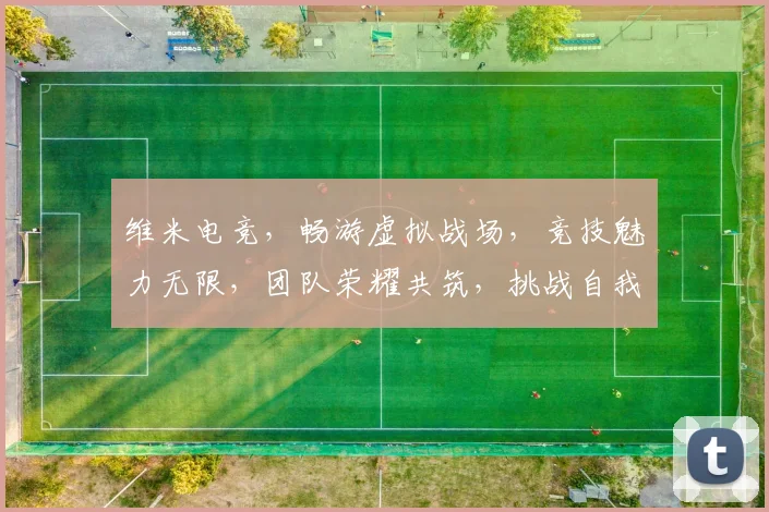 维米电竞，畅游虚拟战场，竞技魅力无限，团队荣耀共筑，挑战自我，勇攀巅峰